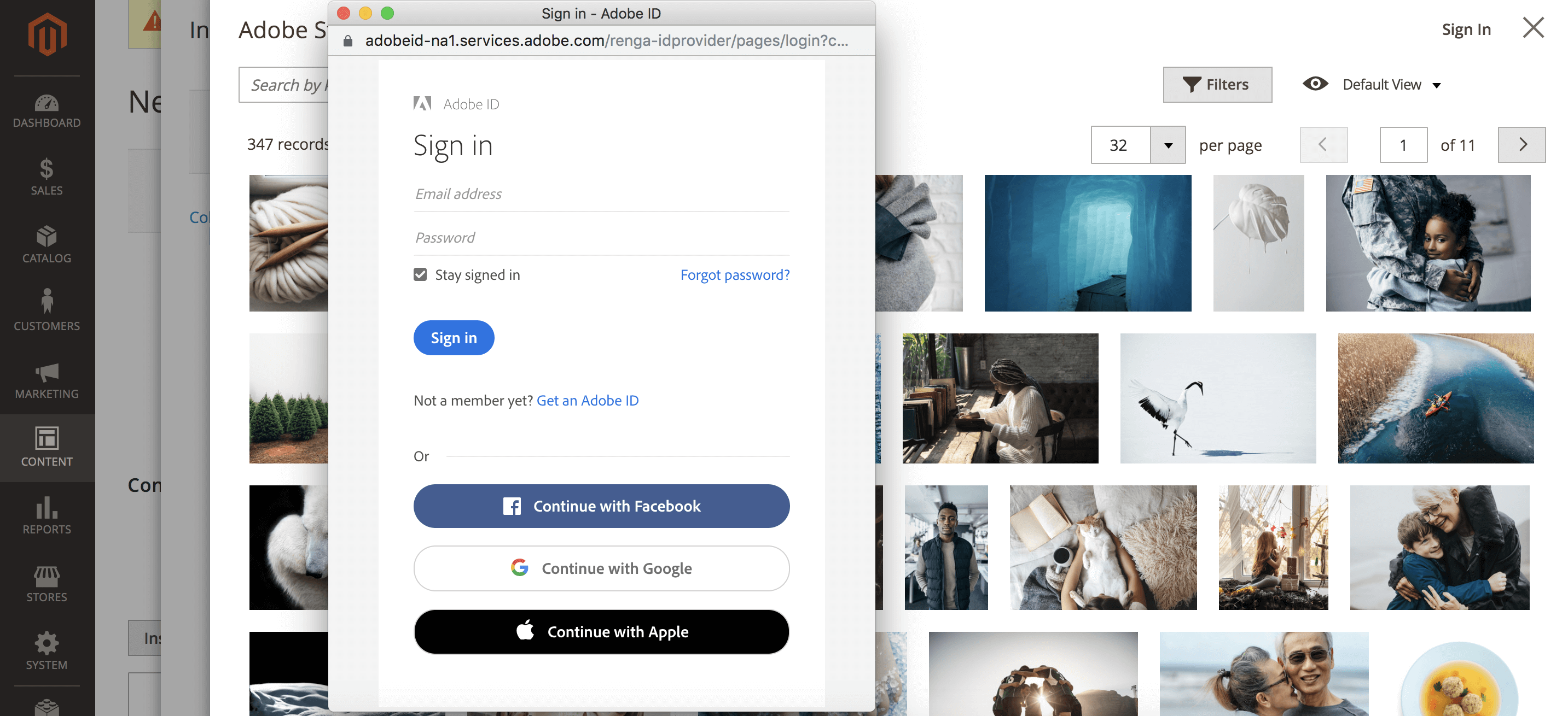 Magento 2 + Adobe Stock